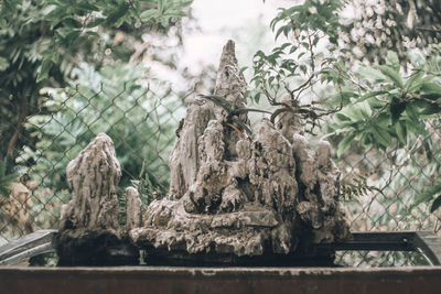 Close-up of statue against plants