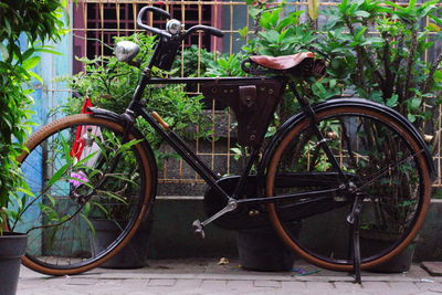 Bicycle parked by plants