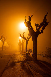 Silhouette tree against sky during foggy night