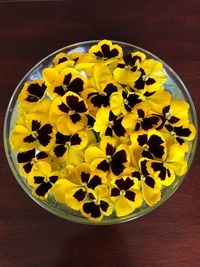 High angle view of yellow flowers in bowl on table