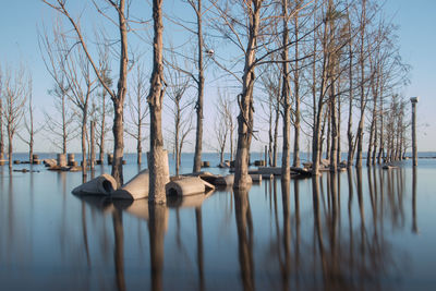 Panoramic view of bare trees in lake against sky water reflections