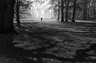 Man walking on road amidst trees in forest