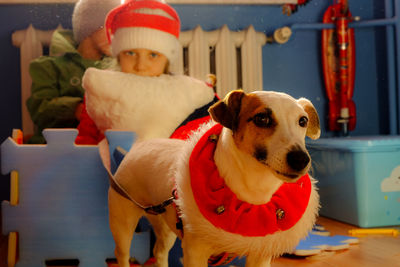 Close-up of dog with children