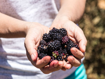 Close-up of hand holding fruit