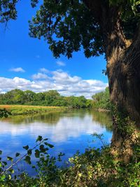 Scenic view of lake against blue sky