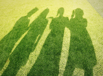Shadow of couple on grass