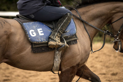 Midsection of a horse with rider