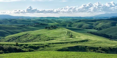 Scenic view of green landscape against sky