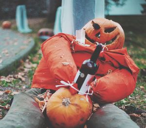 Close-up of pumpkins on field