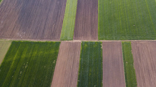 Full frame shot of green field