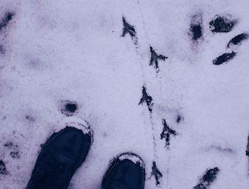Low section of person standing on white wall