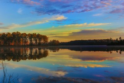 Reflection of trees in calm lake