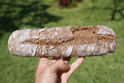 Close-up of hand holding bread