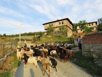 Panoramic view of people walking on road amidst buildings against sky