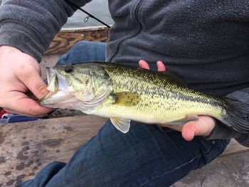 Midsection of man holding fish