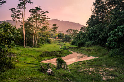 Scenic view of landscape against sky