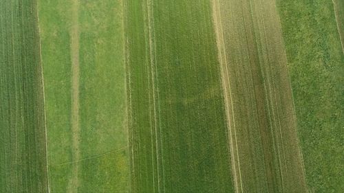Full frame shot of green land