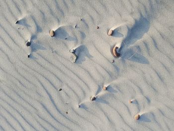 High angle view of beach