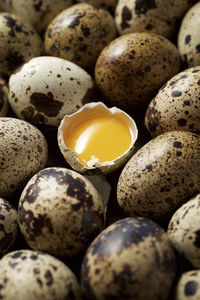 Large group of quail eggs.