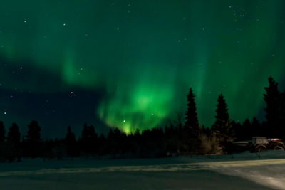 Scenic view of trees against sky at night during winter