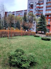 Trees and houses on field against buildings