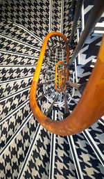 Close-up high angle view