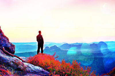 Rear view of man looking at mountains against sky