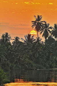 Scenic view of sea against orange sky