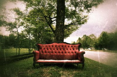 Empty bench in park