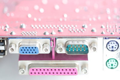Close-up of pink