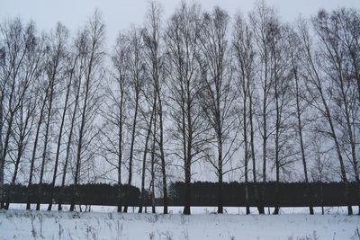 Bare trees on snow covered field against sky