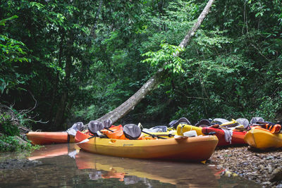 Boats moored on river amidst trees in forest