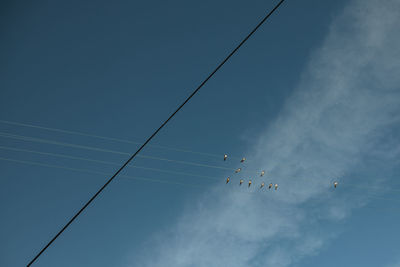 Low angle view of birds perching on cable against sky