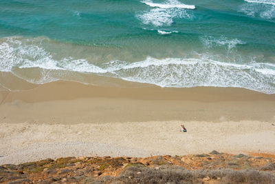 High angle view of bird on beach