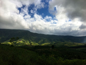 Scenic view of landscape against sky