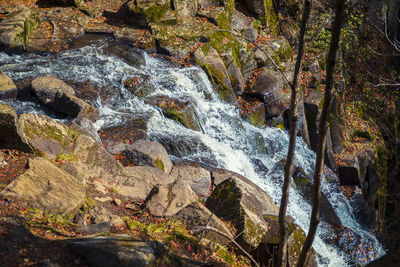 Scenic view of waterfall in forest