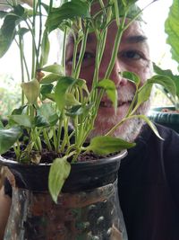 Portrait of man with potted plants
