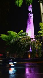 Close-up of illuminated tree at night