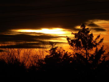 Silhouette trees against sky during sunset