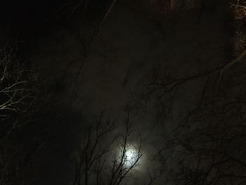Low angle view of bare trees against sky