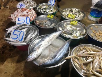 Marine fish in local thai street market