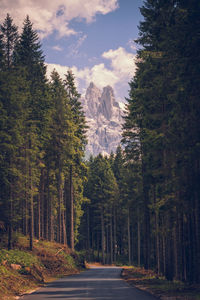 Road amidst trees in forest against sky