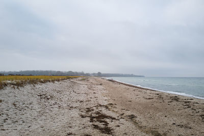 Scenic view of beach against sky