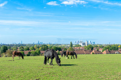 Horses grazing in a field against the london backdrop