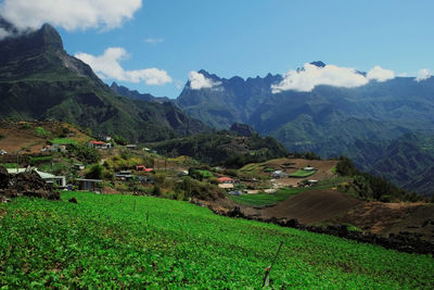 Scenic view of agricultural field against sky