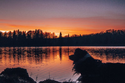 Silhouette trees by lake against sky during sunset