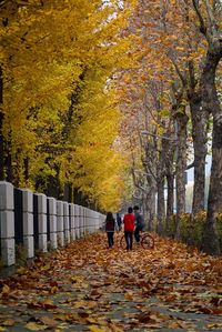 People walking on autumn leaves