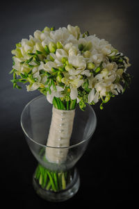 Close-up of flowers over white background