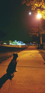 View of illuminated street lights at night