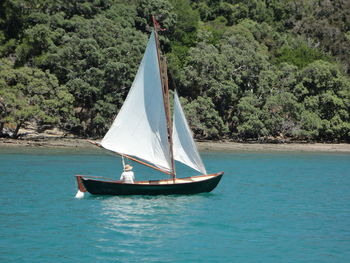 Sailboat sailing on sea against trees